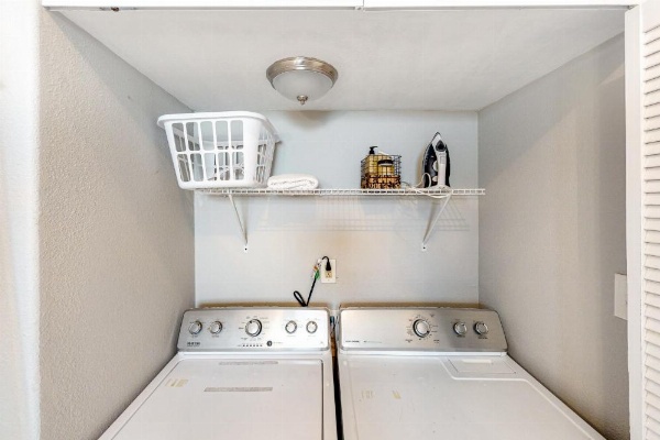 Craftsman on Seawall image 9